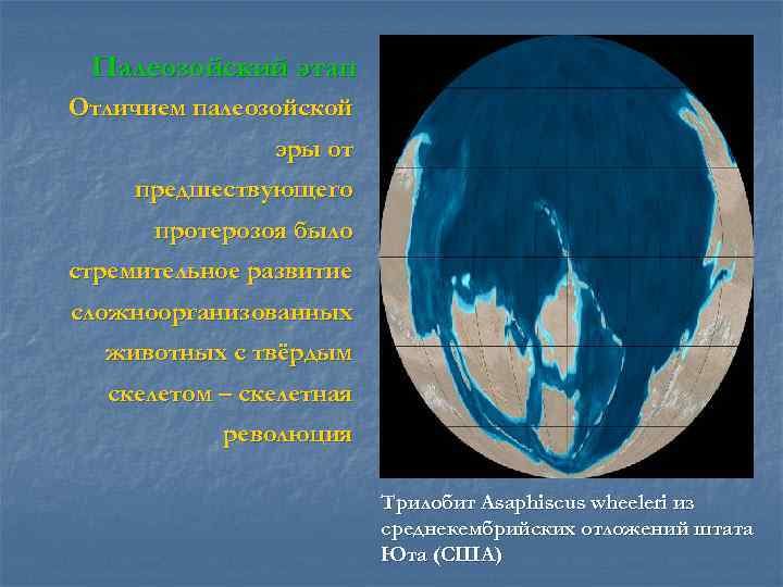  Палеозойский этап Отличием палеозойской   эры от предшествующего  протерозоя было стремительное