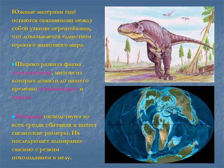Южные материки ещё остаются связанными между собой узкими перешейками, что доказывается единством юрского животного
