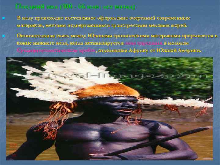   Поздний мел (100 - 66 млн. лет назад) n  В мелу