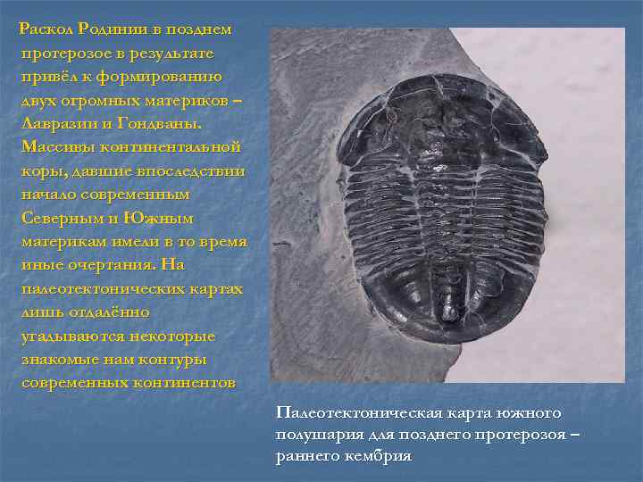Раскол Родинии в позднем протерозое в результате привёл к формированию двух огромных материков –