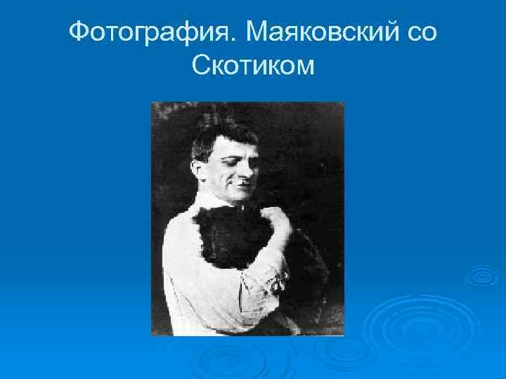 Фотография. Маяковский со Скотиком Фотография. Маяковский со Скотиком