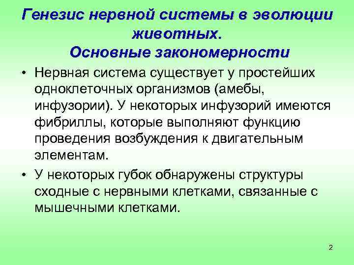Генезис нервной системы в эволюции   животных.  Основные закономерности • Нервная система