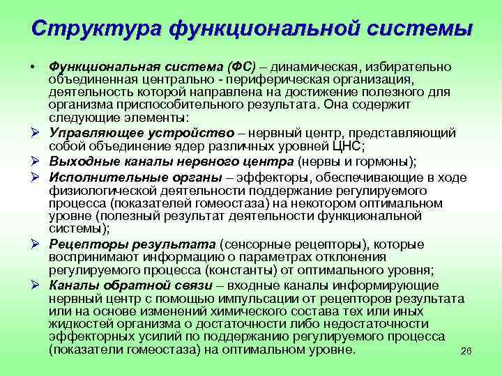Структура функциональной системы •  Функциональная система (ФС) – динамическая, избирательно объединенная центрально -