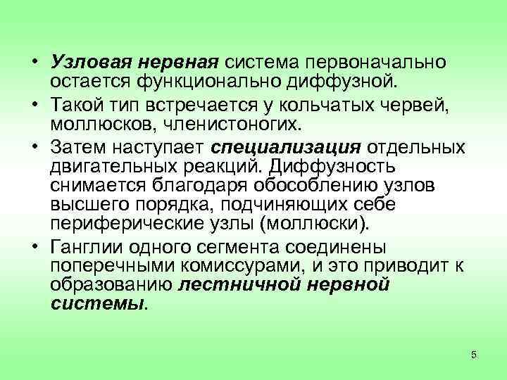 Имеет разбросанно узловую нервную