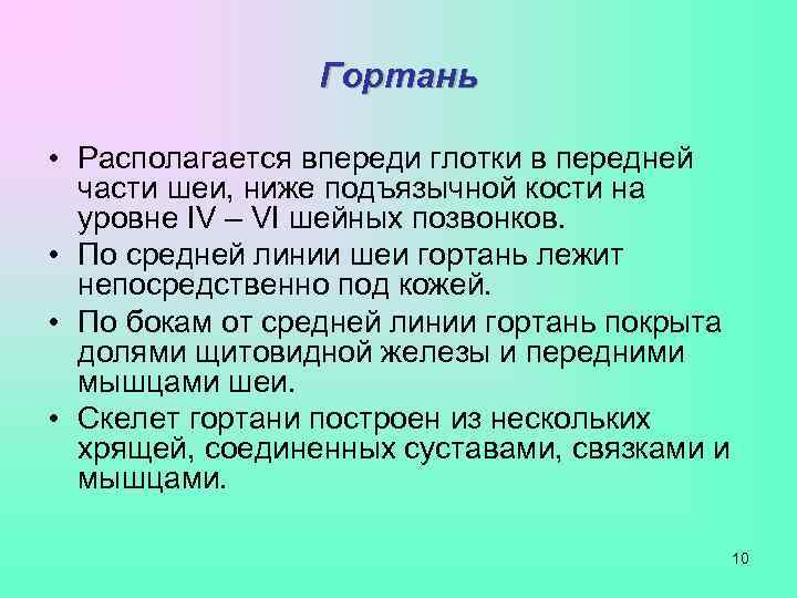    Гортань  • Располагается впереди глотки в передней  части шеи,