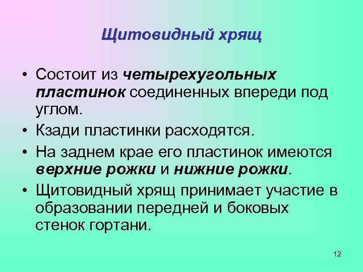    Щитовидный хрящ  • Состоит из четырехугольных  пластинок соединенных впереди