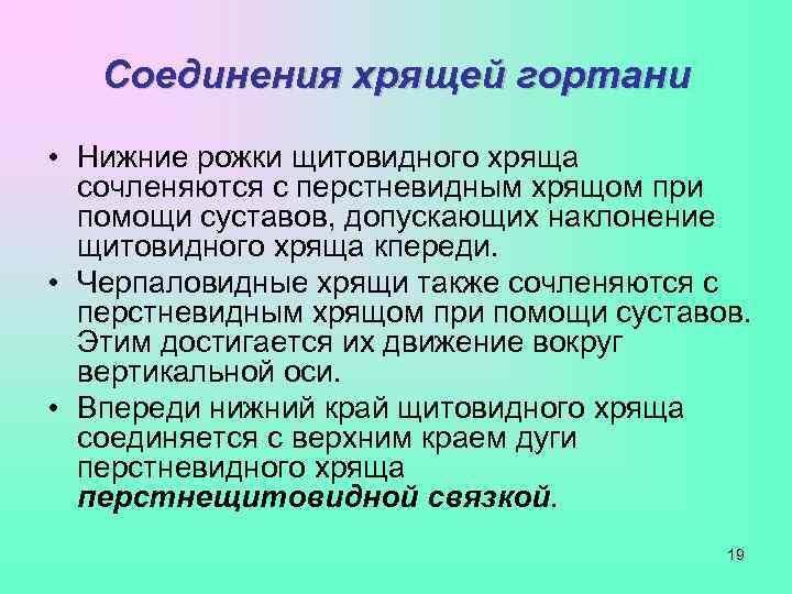   Соединения хрящей гортани • Нижние рожки щитовидного хряща  сочленяются с перстневидным