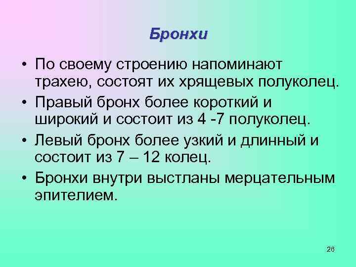     Бронхи • По своему строению напоминают  трахею, состоят их
