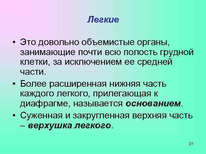     Легкие  • Это довольно объемистые органы,  занимающие почти