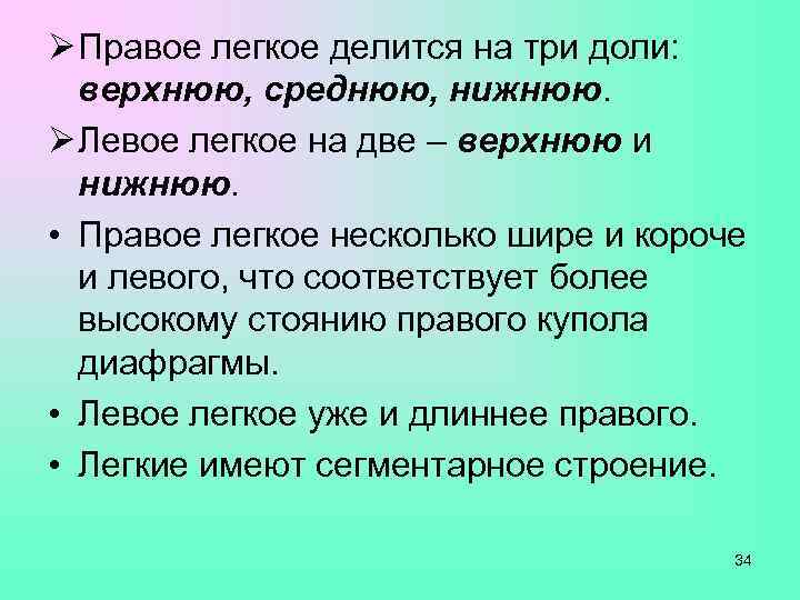 Ø Правое легкое делится на три доли:  верхнюю, среднюю, нижнюю. Ø Левое легкое
