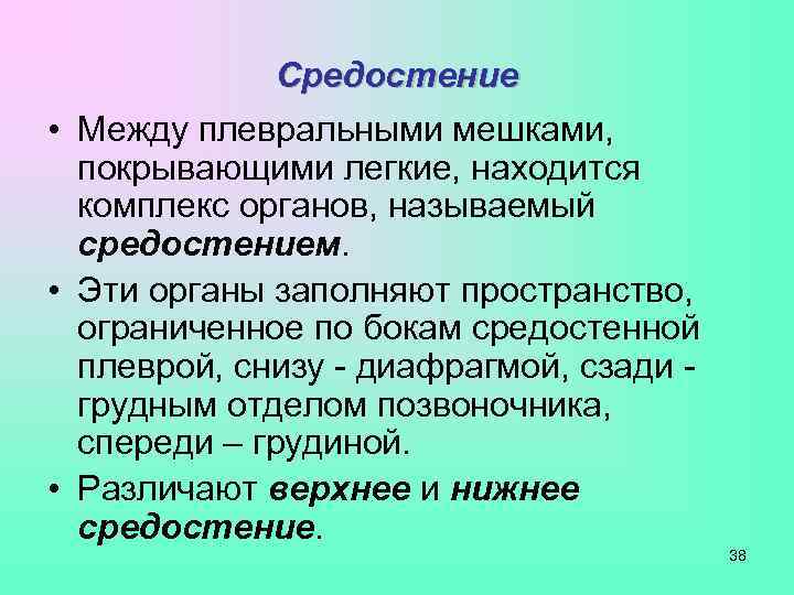    Средостение • Между плевральными мешками,  покрывающими легкие, находится  комплекс