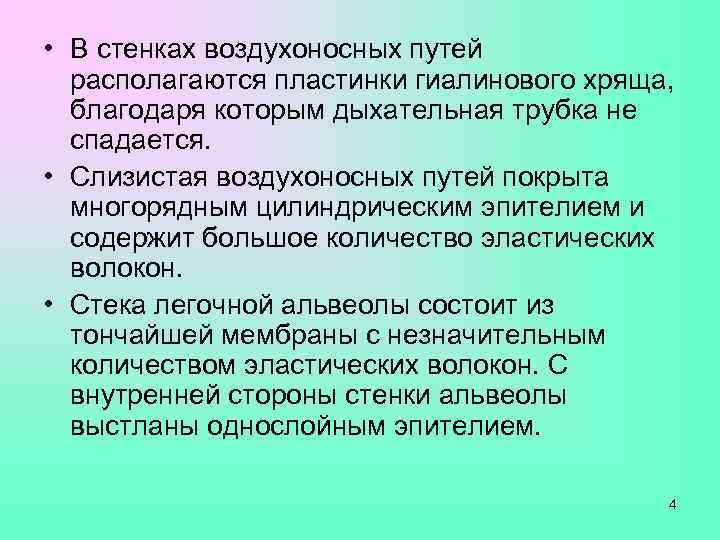  • В стенках воздухоносных путей  располагаются пластинки гиалинового хряща,  благодаря которым