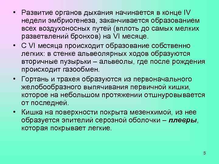  • Развитие органов дыхания начинается в конце IV  недели эмбриогенеза, заканчивается образованием
