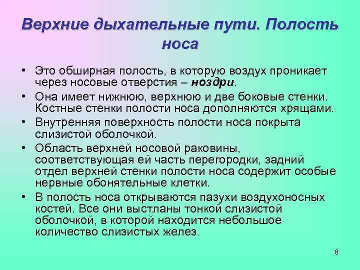 Верхние дыхательные пути. Полость    носа • Это обширная полость, в которую