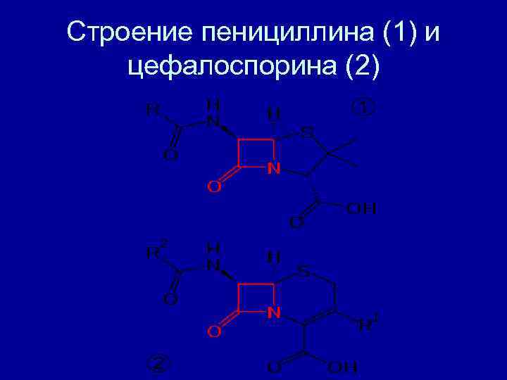 Строение пенициллина (1) и цефалоспорина (2) 