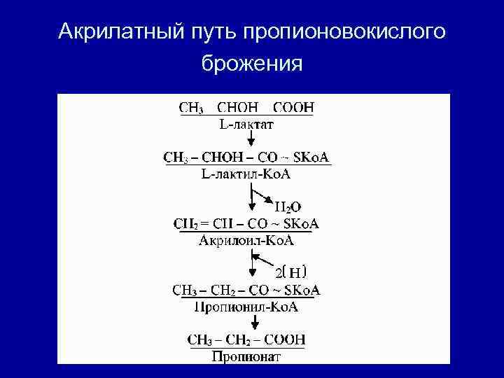 Пропионовокислое брожение схема