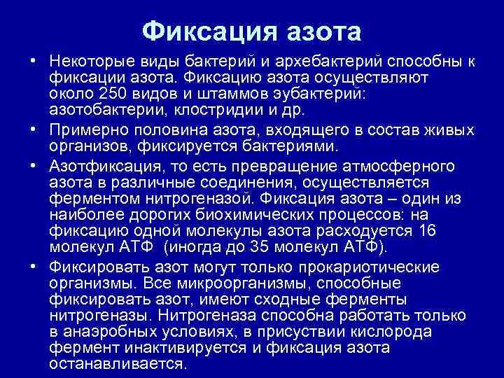 Способны к фиксации атмосферного азота