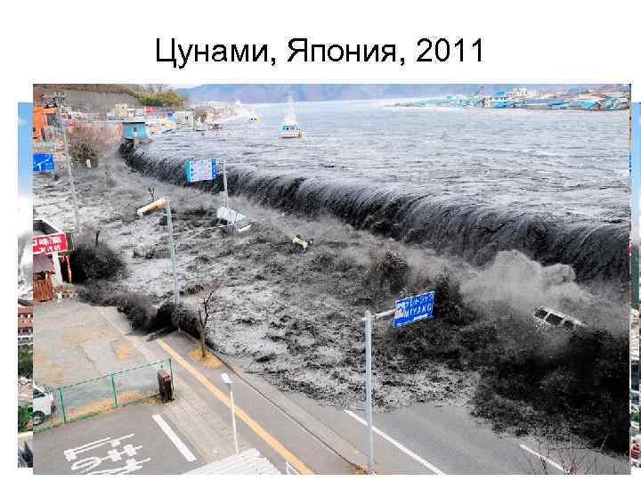 Цунами, Япония, 2011 