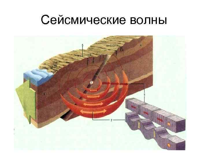 Сейсмические волны 