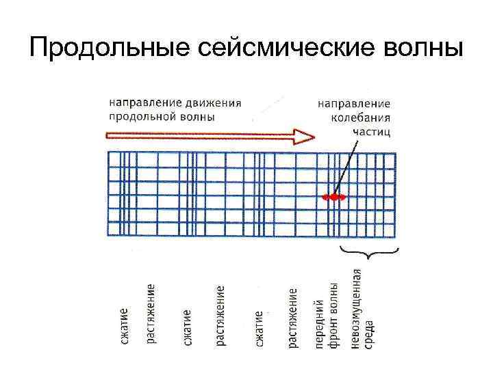 Продольные сейсмические волны 