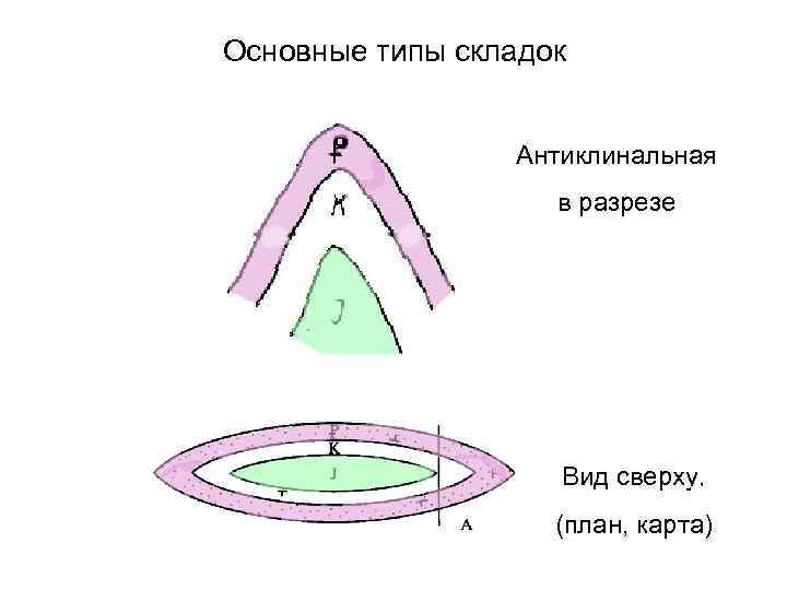Основные типы складок    Антиклинальная     в разрезе 
