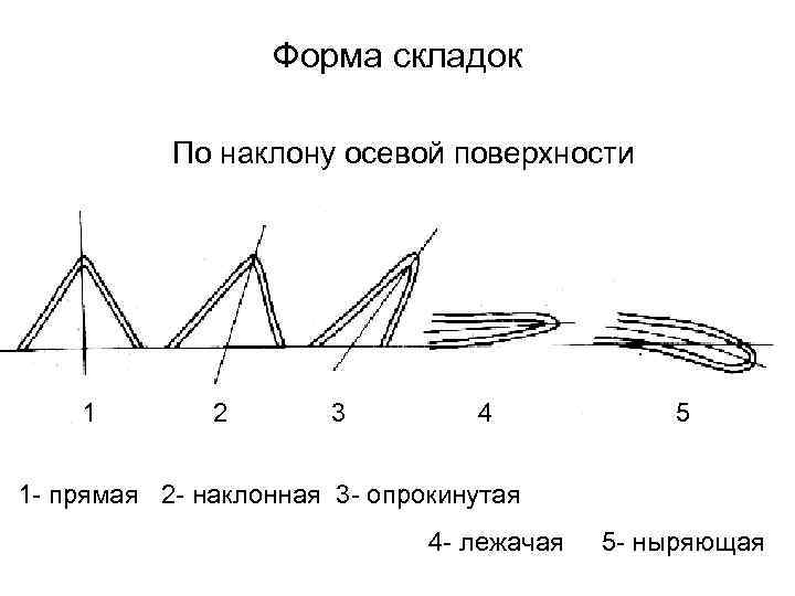 Сопоставьте элементы рисунка а б в г с типами складок по положению крыльев