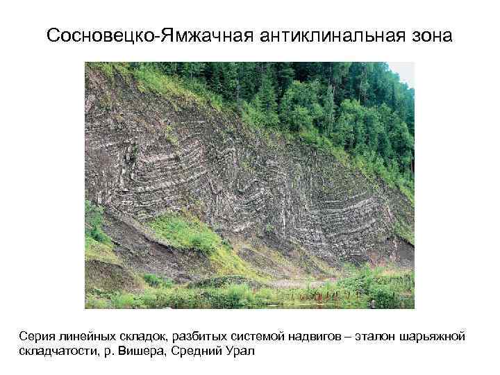   Сосновецко-Ямжачная антиклинальная зона Серия линейных складок, разбитых системой надвигов – эталон шарьяжной