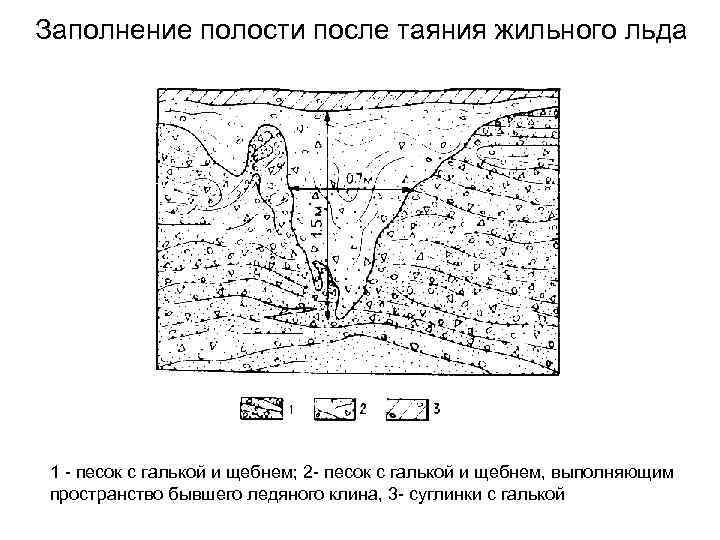 Заполнение полости после таяния жильного льда 1 - песок с галькой и щебнем; 2