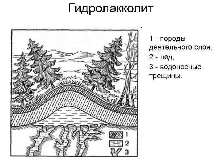 Гидролакколит   1 - породы   деятельного слоя,   2 -