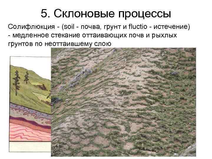    5. Склоновые процессы Солифлюкция - (soil - почва, грунт и fluctio