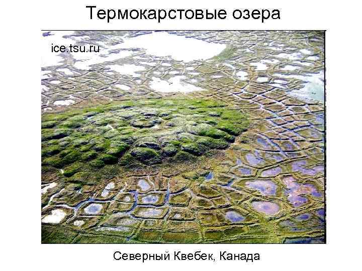  Термокарстовые озера ice. tsu. ru   Северный Квебек, Канада 