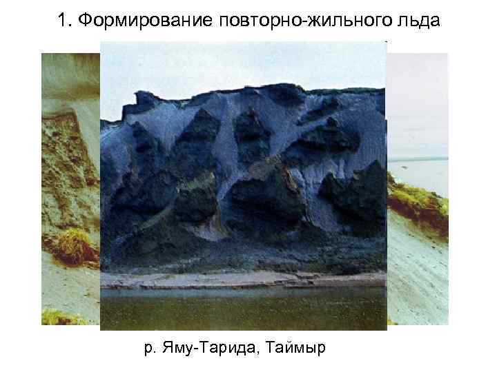 1. Формирование повторно-жильного льда   р. Яму-Тарида, Таймыр 