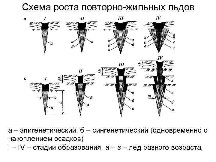   Схема роста повторно-жильных льдов а – эпигенетический, б – сингенетический (одновременно с
