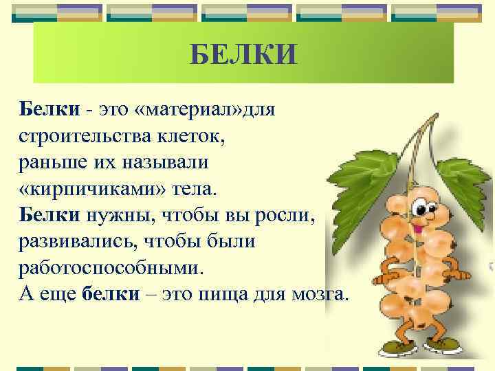    БЕЛКИ Белки - это «материал» для строительства клеток, раньше их называли