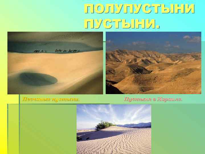     ПОЛУПУСТЫНИ     ПУСТЫНИ. Песчаные пустыни.  Пустыня