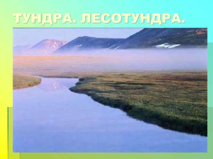 ТУНДРА. ЛЕСОТУНДРА. 