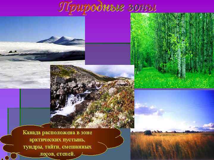 Канада расположена в зоне арктических пустынь, тундры, тайги, смешанных лесов, степей. Канада расположена в зоне арктических пустынь, тундры, тайги, смешанных лесов, степей.
