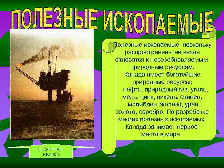 Полезные ископаемые поскольку распространены не везде относятся к Полезные ископаемые поскольку распространены не везде относятся к