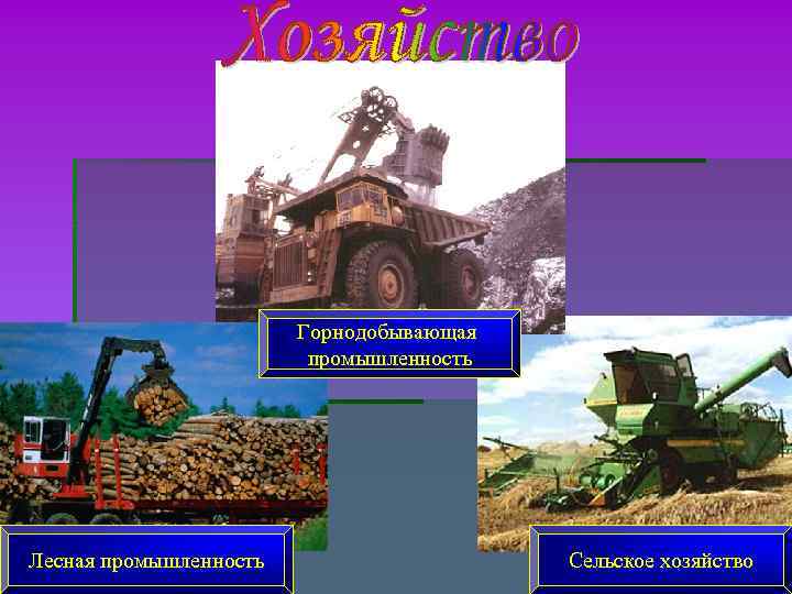 Горнодобывающая промышленность Лесная промышленность Горнодобывающая промышленность Лесная промышленность