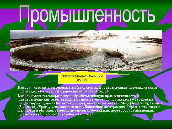 ДЕРЕВООБРАБАТЫВАЮЩИЙ ЗАВОД Канада – ДЕРЕВООБРАБАТЫВАЮЩИЙ ЗАВОД Канада –