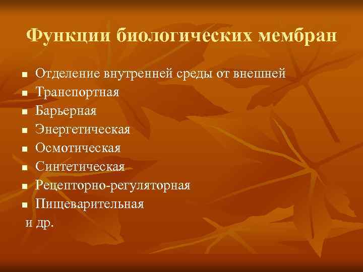 Функции биологических мембран n Отделение внутренней среды от внешней n Транспортная n Барьерная n