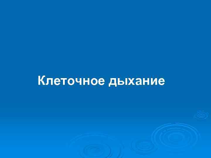 Клеточное дыхание 