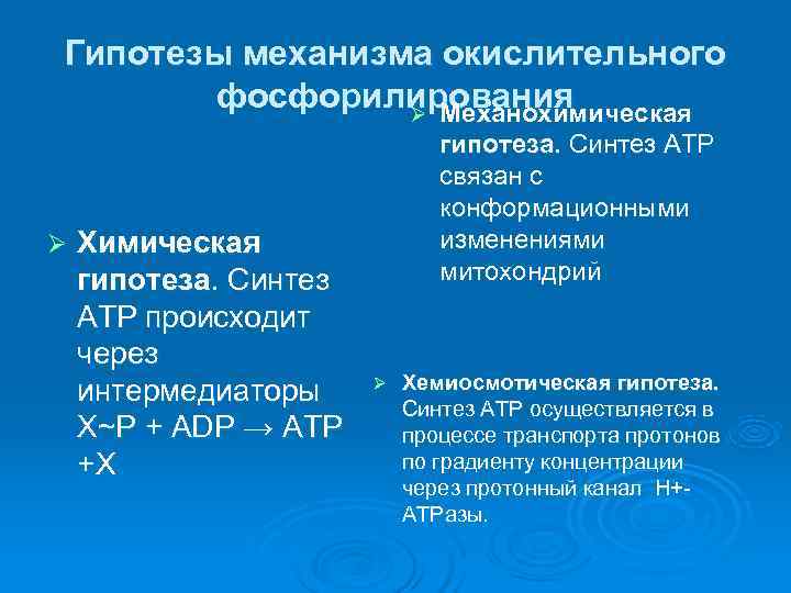 Гипотезы механизма окислительного  фосфорилирования   Ø Механохимическая     
