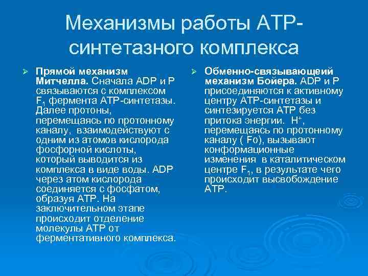    Механизмы работы АТР-   синтетазного комплекса Ø  Прямой механизм