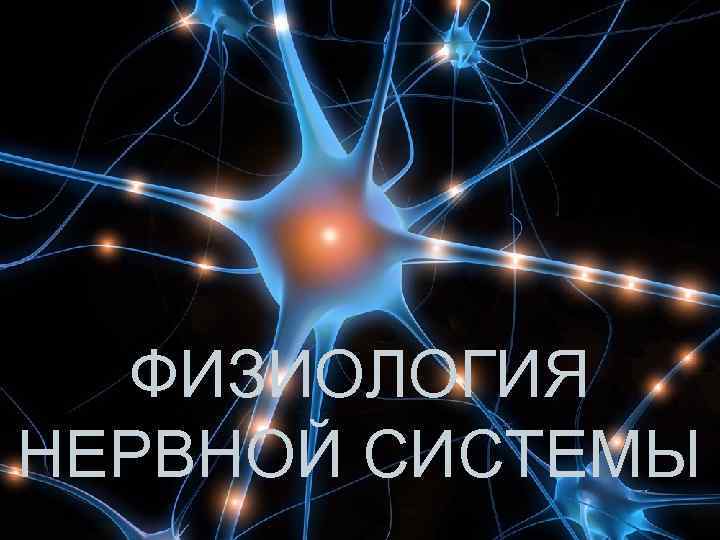 ФИЗИОЛОГИЯ НЕРВНОЙ СИСТЕМЫ 