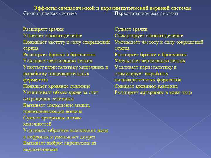 Эффекты симпатической и парасимпатической нервной системы Симпатическая система Парасимпатическая система Расширяет зрачки Угнетает слюноотделение