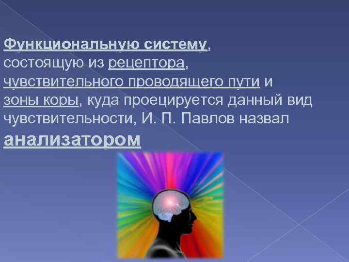 Функциональную систему, состоящую из рецептора, чувствительного проводящего пути и зоны коры, куда проецируется данный