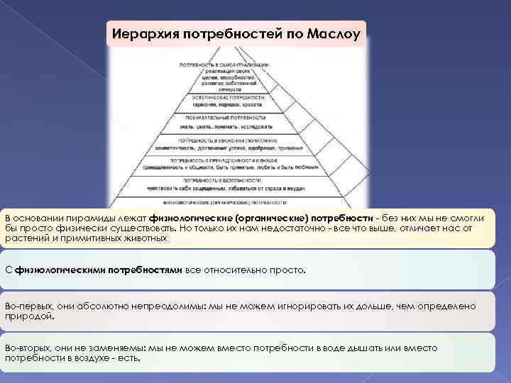Иерархия потребностей по Маслоу В основании пирамиды лежат физиологические (органические) потребности - без них