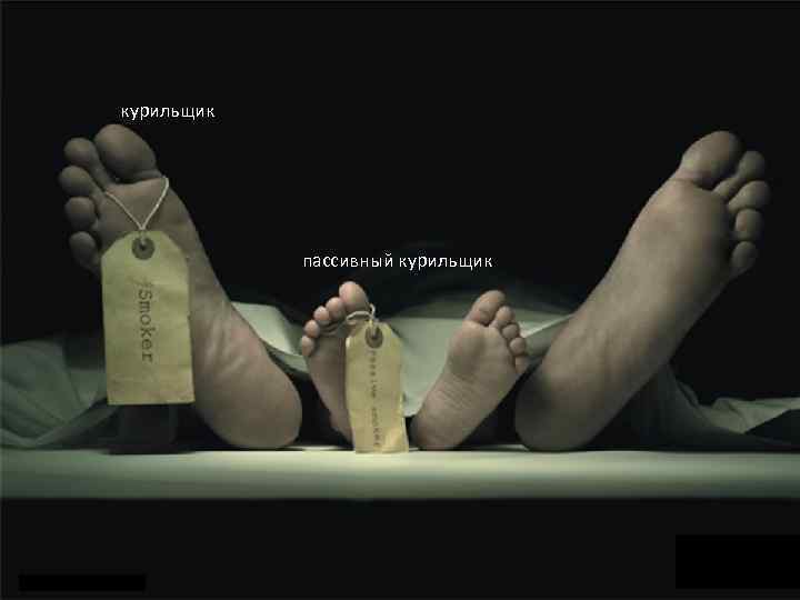  Пассивное курение курильщик     Отравлению никотином    