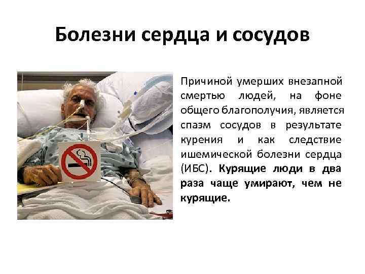 Болезни сердца и сосудов  Причиной умерших внезапной  смертью людей, на фоне 